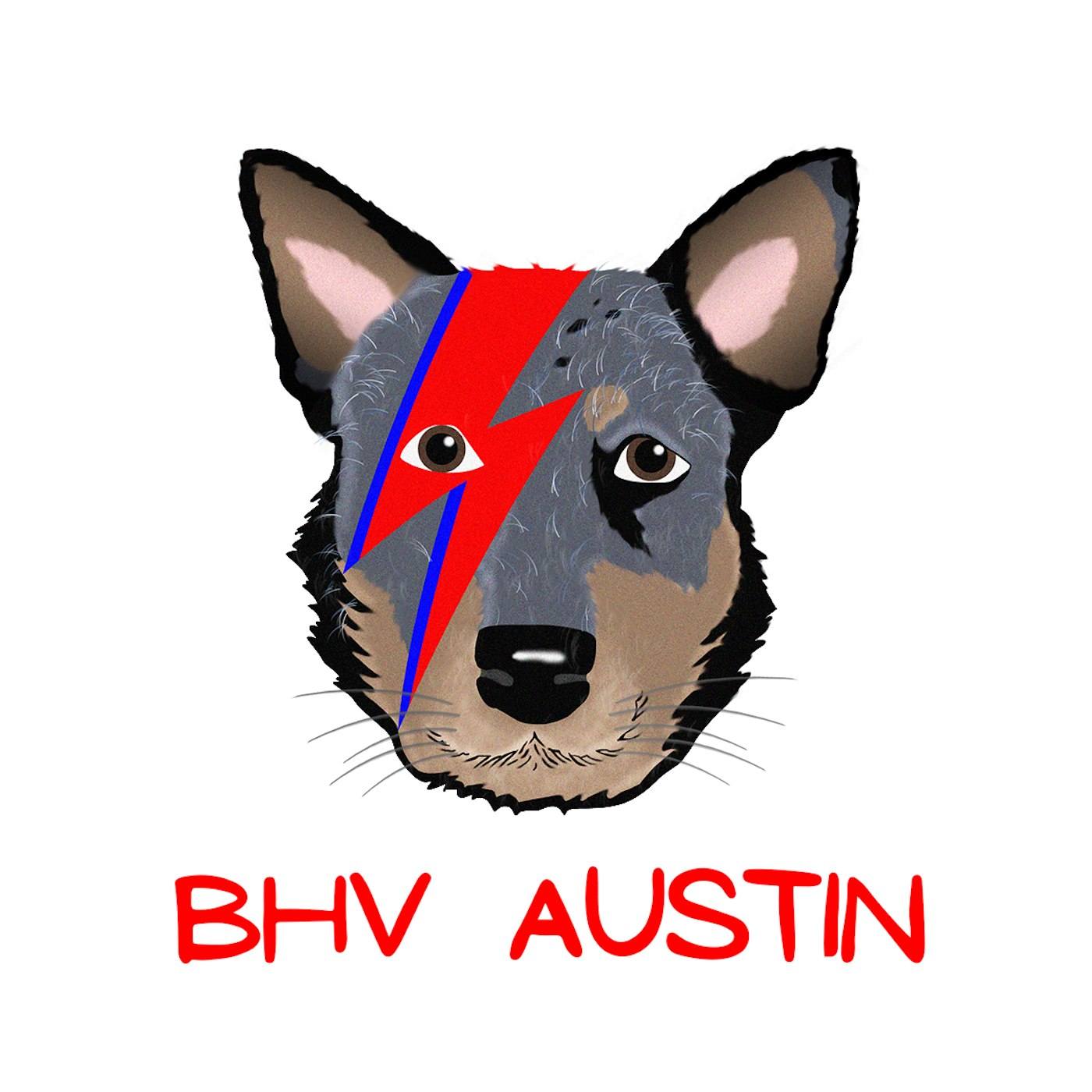 BHV Austin
